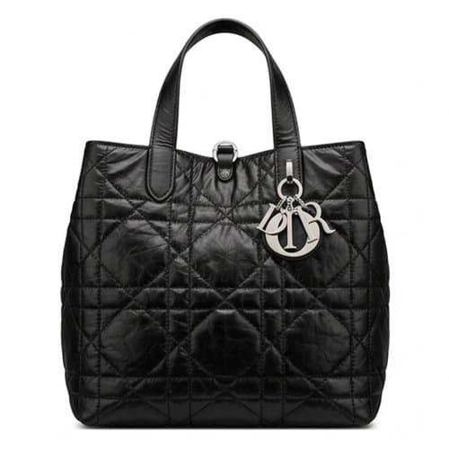 Dior 디올 파나레아 토트백