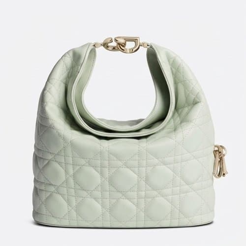 Dior 디올 바이브 호보백