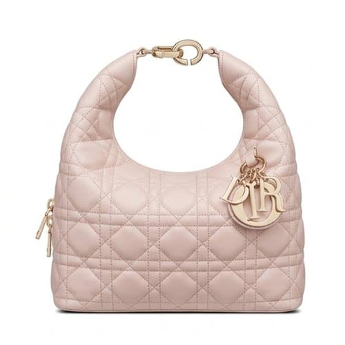 Dior 디올 뚜주흐 호보 백