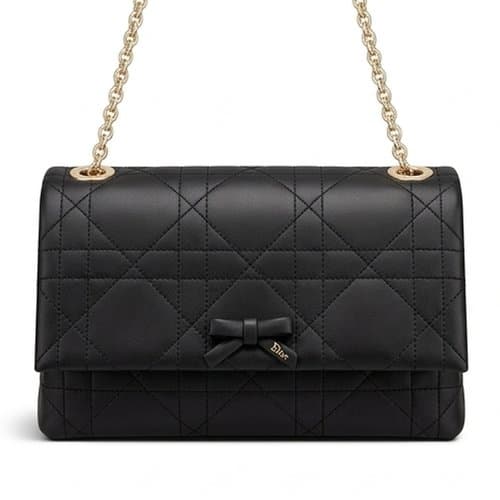 Dior 디올 프로메나드 플랩백